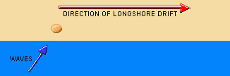 Long Shoredrift