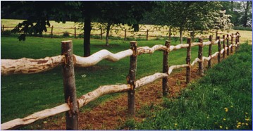 Post and Rail Fencing at Trewidden Estate